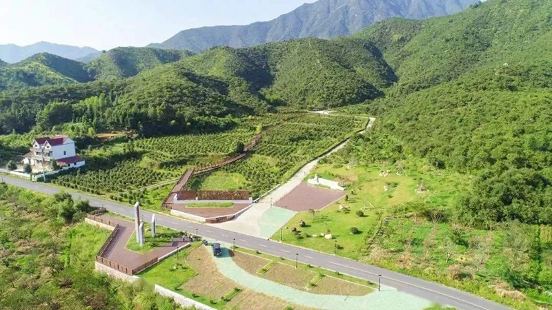 國家級示范，浙江新增4家！