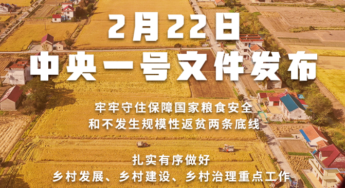 2022年中央一號文件發(fā)布！接續(xù)實(shí)施農(nóng)村人居環(huán)境整治提升五年行動