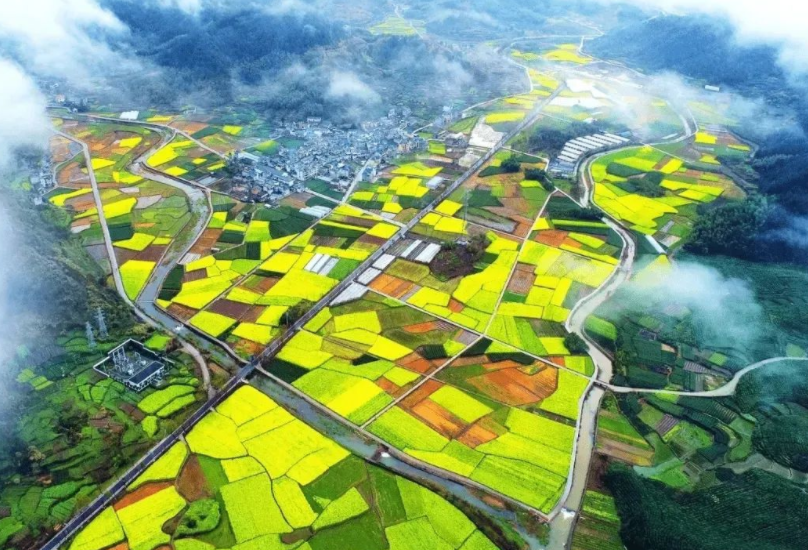 支持社會(huì)資本投資農(nóng)村人居環(huán)境整治，《社會(huì)資本投資農(nóng)業(yè)農(nóng)村指引（2022年）》發(fā)布
