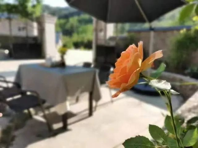 《浙江日報(bào)》頭版報(bào)道臨安招引鄉(xiāng)村運(yùn)營師新聞發(fā)布會