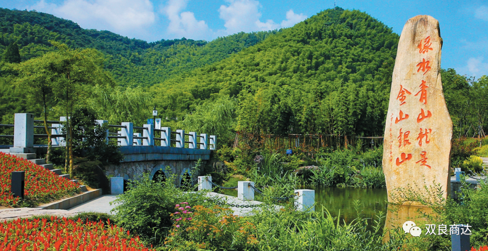 臥虎藏龍取景地，安吉大竹海！商達(dá)五鶴村農(nóng)村污水示范站點(diǎn)投入試運(yùn)行