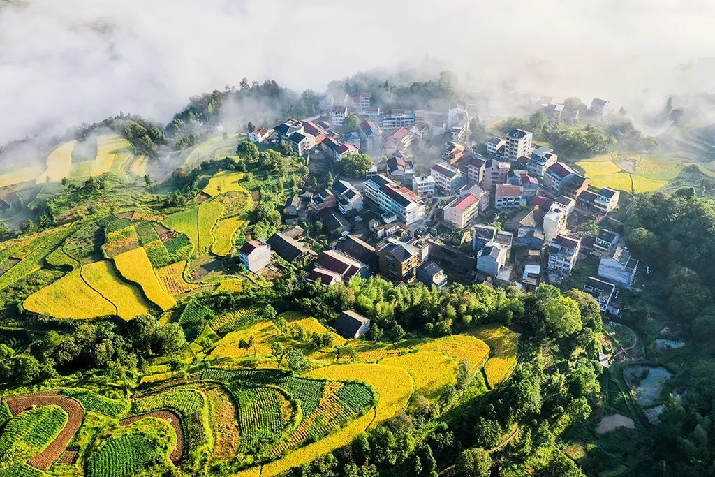 浙江省農(nóng)業(yè)農(nóng)村廳印發(fā)《浙江省未來農(nóng)場建設(shè)導(dǎo)則（1.0版）》（全文）