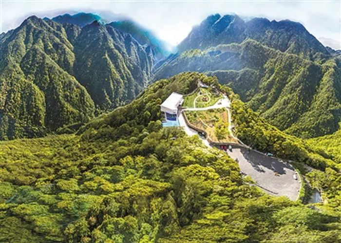 中國(guó)綠色時(shí)報(bào)：鋪實(shí)浙江“共富路” 林業(yè)跑出“加速度”