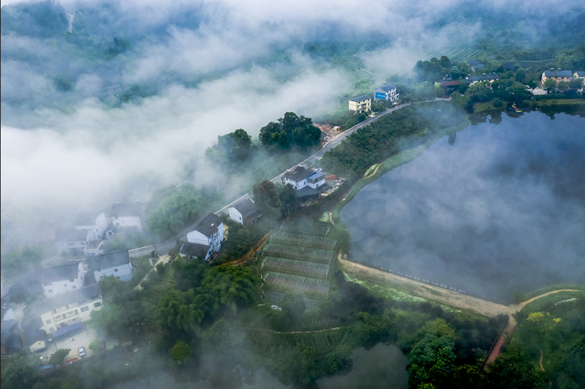 什么是碳達(dá)峰與碳中和？全球有哪些國(guó)家做出了碳中和承諾？