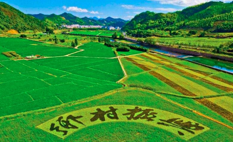 鄉(xiāng)村振興規(guī)劃實(shí)施進(jìn)展如何？這場發(fā)布會劃重點(diǎn)：系統(tǒng)治理優(yōu)生態(tài)