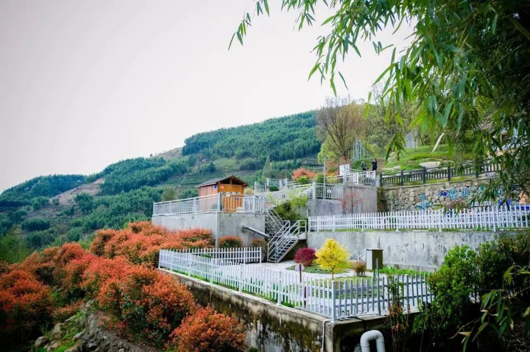 全國優(yōu)秀！臨安這個(gè)項(xiàng)目不簡單