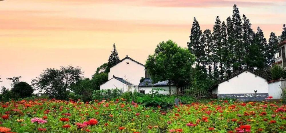 老舊改造+資源化+生態(tài)管控，上海市農(nóng)村生活污水治理提標(biāo)增效行動方案發(fā)布