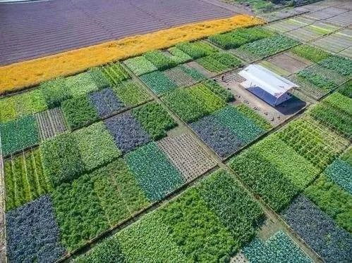 什么是數(shù)字鄉(xiāng)村？如何推進(jìn)建設(shè)智慧綠色鄉(xiāng)村？指南來(lái)了！