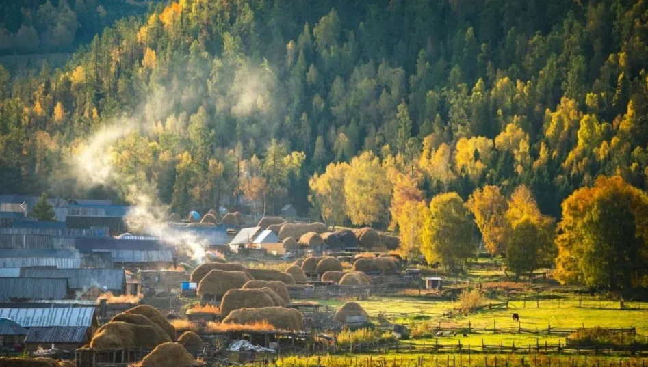 國家鄉(xiāng)村振興局開會研究謀劃明年工作，明確了這些重點和要求