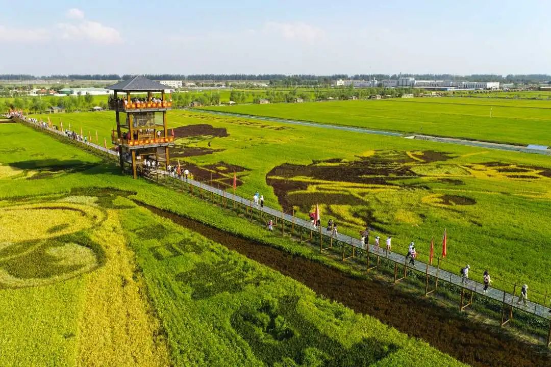 寧夏3年累計下達(dá)農(nóng)村生活污水以獎代補資金7.92億元