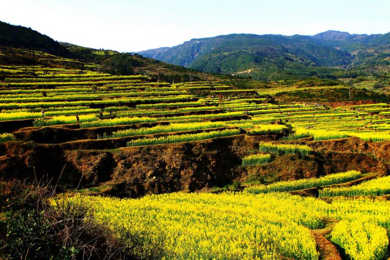 農(nóng)污設(shè)施正常運(yùn)行率80%，山西省水環(huán)境質(zhì)量再提升2022-2023年行動(dòng)計(jì)劃發(fā)布