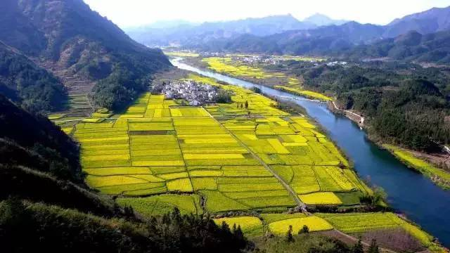 中央經(jīng)濟工作會議要求，在落實碳達(dá)峰碳中和目標(biāo)任務(wù)過程中鍛造新的產(chǎn)業(yè)競爭優(yōu)勢