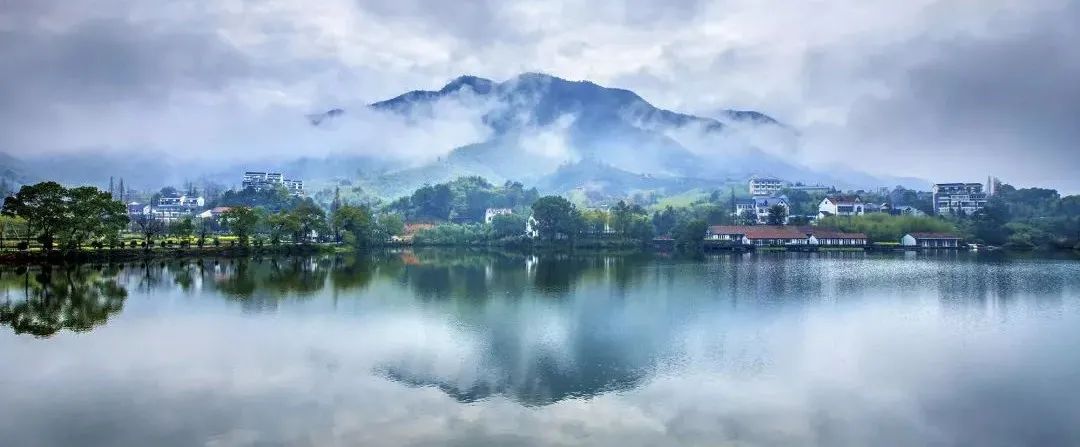 中央鄉(xiāng)村振興的宏觀大政：產(chǎn)業(yè)興旺、生態(tài)宜居、鄉(xiāng)風(fēng)文明、治理有效、生活富裕