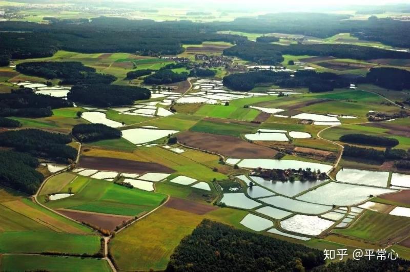 農(nóng)村污水|生態(tài)環(huán)保項(xiàng)目可申請(qǐng)哪些專項(xiàng)資金？