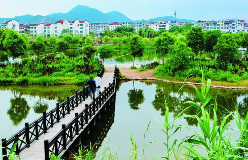 《中國環(huán)境報》頭版頭條：浙江構(gòu)建降碳、減污、擴(kuò)綠、增長整體智治體系