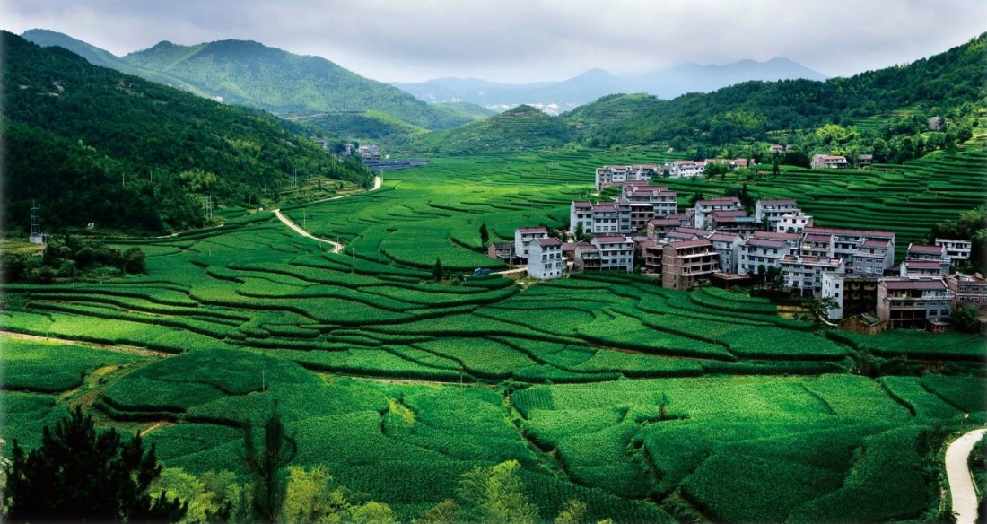 2023年中央一號文件，與生態(tài)環(huán)保息息相關(guān)的內(nèi)容有哪些？