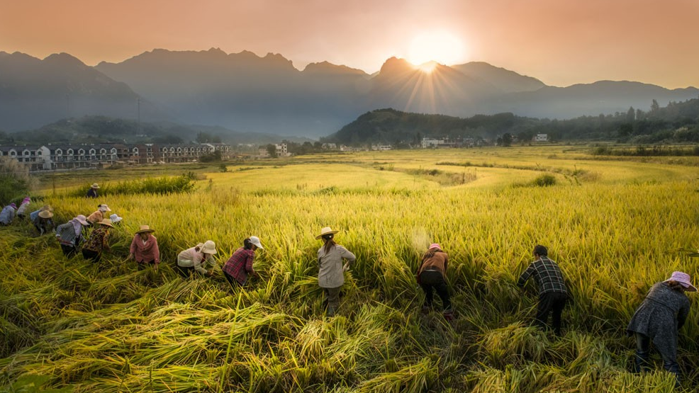 河南七部門聯(lián)合發(fā)布《河南省減污降碳協(xié)同增效行動方案》