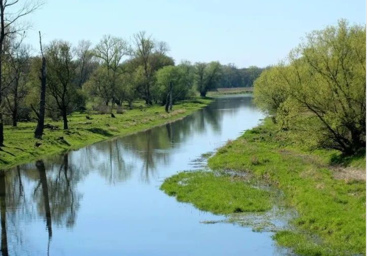 國家鄉(xiāng)村振興局一號文件發(fā)布：抓好農(nóng)村人居環(huán)境整治提升