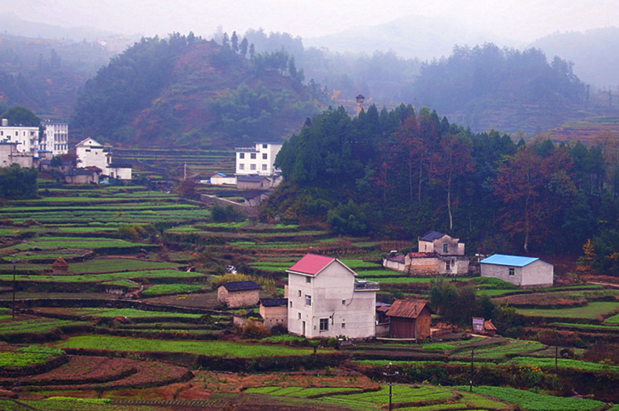 生態(tài)環(huán)境部：今年計(jì)劃完成800余條較大面積農(nóng)村黑臭水體整治