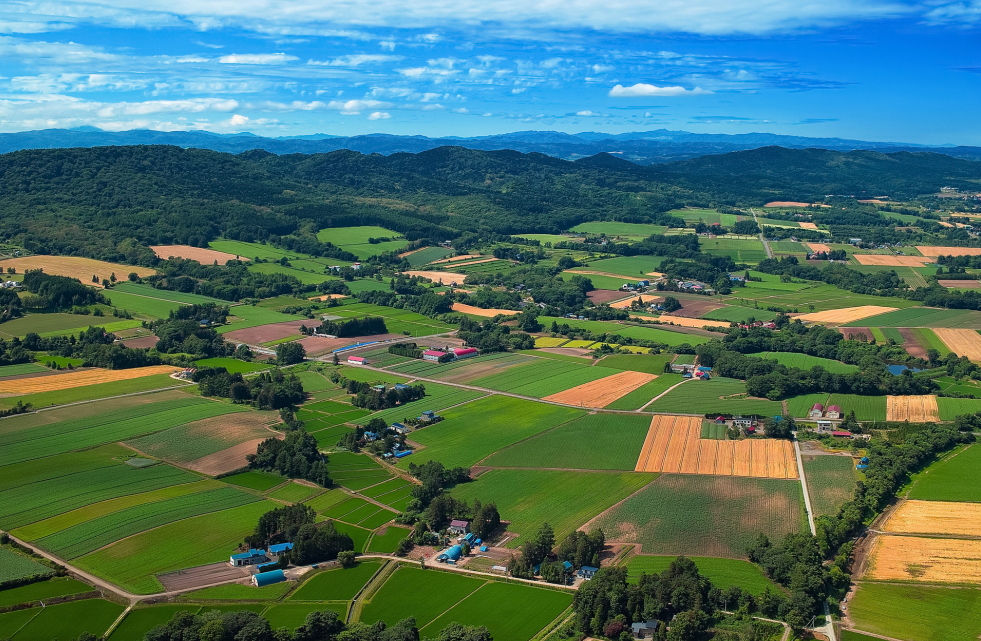 2023年鄉(xiāng)村振興項(xiàng)目申報(bào)及政策補(bǔ)貼匯總，支持鄉(xiāng)鎮(zhèn)污水處理、農(nóng)村人居環(huán)境整治、智慧農(nóng)業(yè)和數(shù)字鄉(xiāng)村等領(lǐng)域
