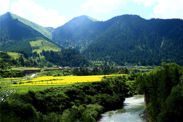 建設(shè)村莊垃圾收集點(diǎn)、鄉(xiāng)鎮(zhèn)垃圾轉(zhuǎn)運(yùn)站，《甘肅省鄉(xiāng)村建設(shè)行動(dòng)實(shí)施方案》明確這些要求！