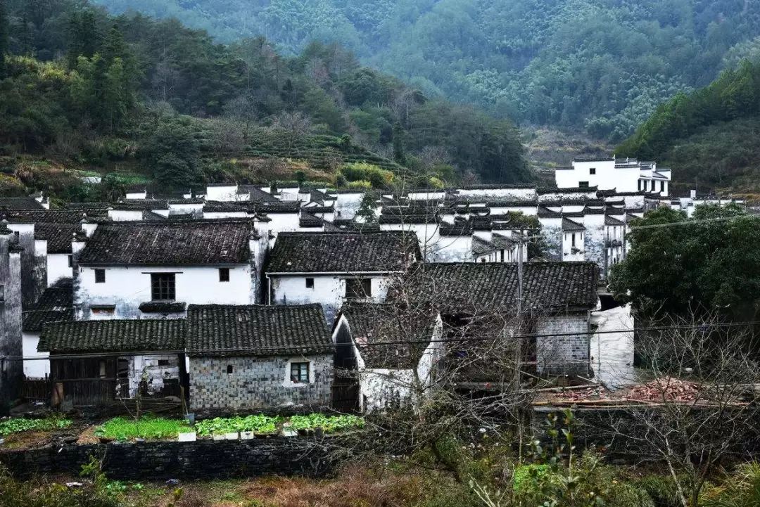 七部門明確！在農(nóng)村人居環(huán)境整治提升中統(tǒng)籌考慮減污降碳要求