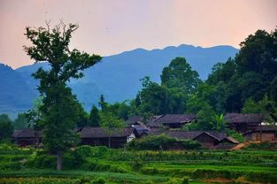 寧夏農(nóng)村生活污水處理設(shè)施運(yùn)行維護(hù)管理辦法（試行）