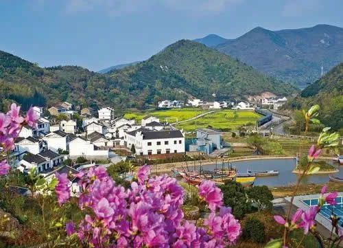 農(nóng)業(yè)農(nóng)村部答復(fù)關(guān)于建立鄉(xiāng)村振興國家級產(chǎn)業(yè)示范區(qū)的提案