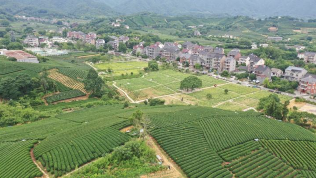 農(nóng)業(yè)農(nóng)村部辦公廳關(guān)于深入學(xué)習(xí)浙江“千萬工程”經(jīng)驗(yàn)的通知