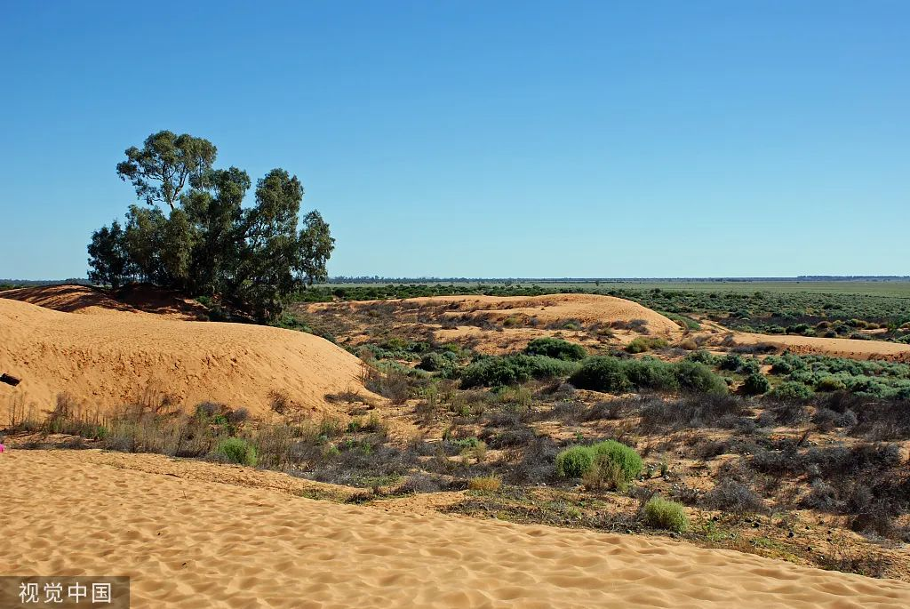 6·5世界環(huán)境日｜環(huán)境保護(hù)科普知識(shí)