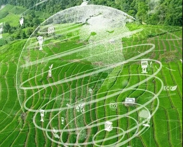 農(nóng)業(yè)碳匯加速入局碳交易，農(nóng)產(chǎn)品固碳價值“變現(xiàn)”可期