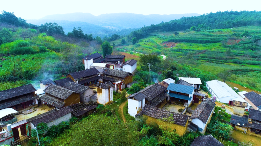 我國農(nóng)村污水的發(fā)展歷程及治理工作的推進(jìn)