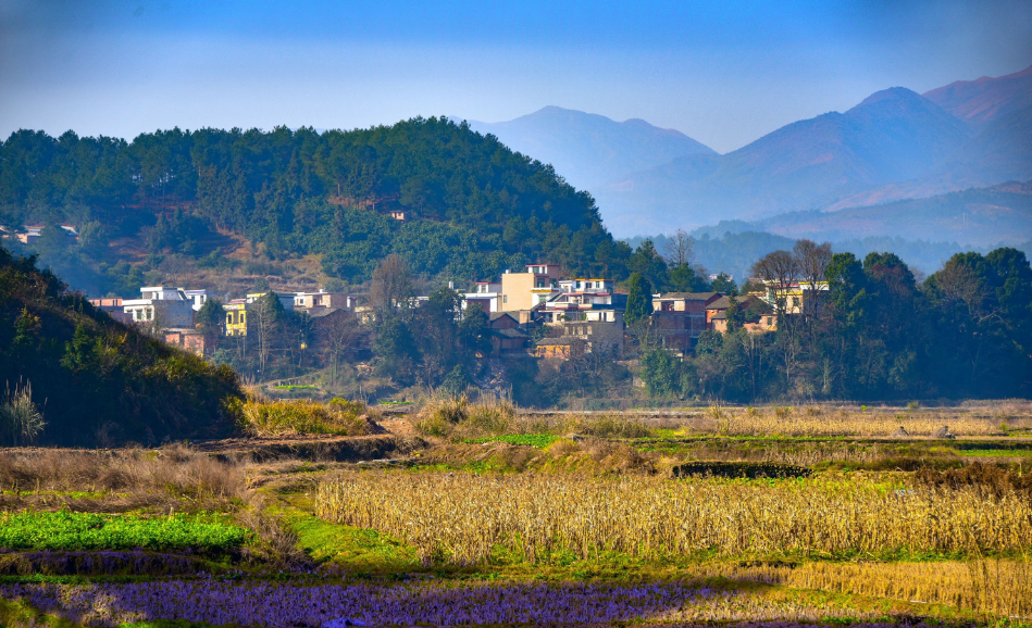 山東省農(nóng)村生活污水處理設施運行維護管理辦法（修訂稿）征求意見