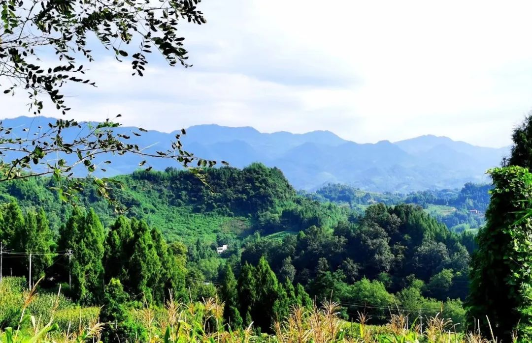 成都：農(nóng)村污水治理專題協(xié)商會(huì)探討解決方案