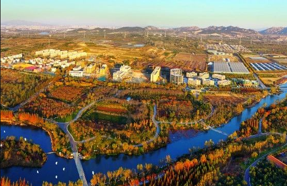 什么是農(nóng)村生活污水全域治理的“青島速度”？