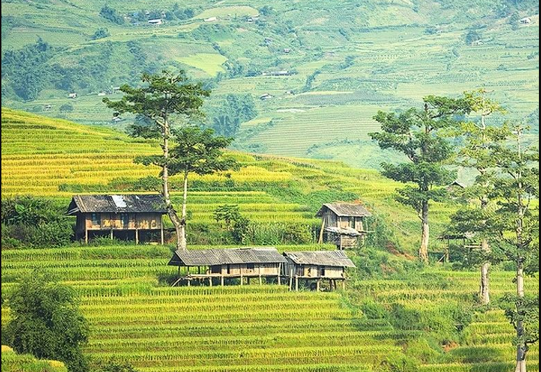 農(nóng)村生活污水凈化裝置團(tuán)體標(biāo)準(zhǔn)通過(guò)批準(zhǔn)，12月1日起正式實(shí)施