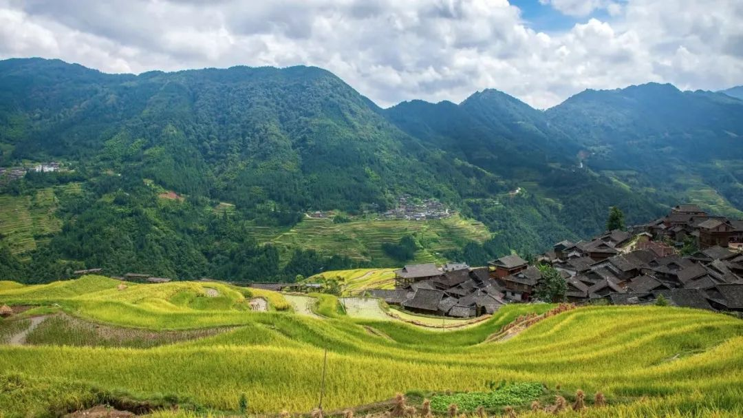 安徽：農(nóng)村黑臭水體整治，強(qiáng)化推進(jìn)會落實(shí)