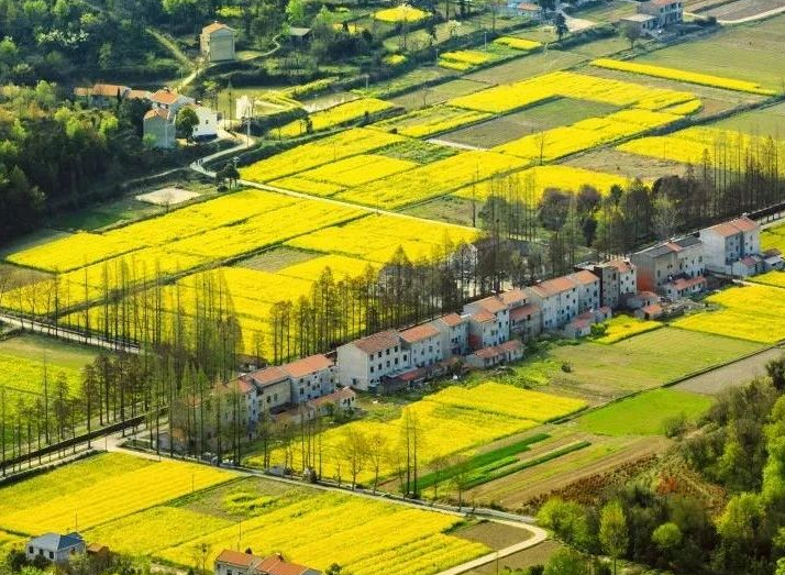 2025年治理率達到65.76%以上，武漢市農村生活污水治理三年行動實施方案發(fā)布