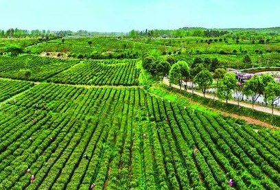 生態(tài)環(huán)境部：審議并原則通過《關(guān)于進一步推進農(nóng)村生活污水治理的指導(dǎo)意見》等標準