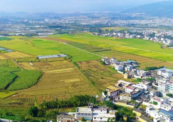 分析農(nóng)村污水排放標準及治理方向