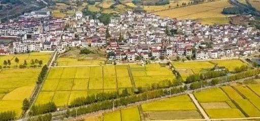 未來5年，鄉(xiāng)村產(chǎn)業(yè)8大投資重點在哪里？