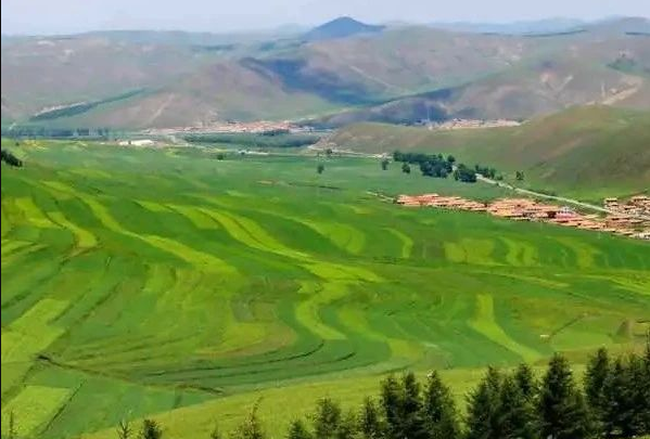 全文丨浙江農業(yè)農村廳 浙江農商行印發(fā)《關于金融支持新型農業(yè)經營主體高質量發(fā)展助力農業(yè)農村現(xiàn)代化先行的指導意見》