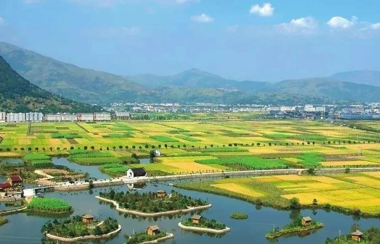 鄉(xiāng)村振興工作滯后，約談！江西省委、省政府發(fā)布《江西省鄉(xiāng)村振興責(zé)任制實施細則》