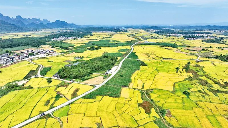 全文丨中央農(nóng)辦《有力有效推進鄉(xiāng)村全面振興》