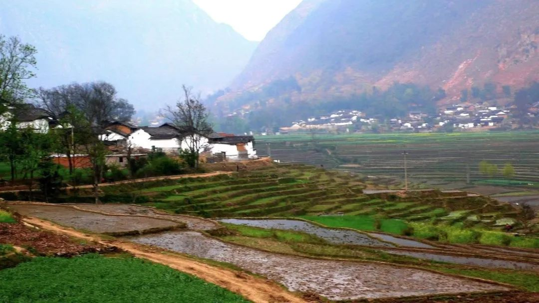 濟(jì)寧：農(nóng)村污水治理全域統(tǒng)籌，提升治理水平