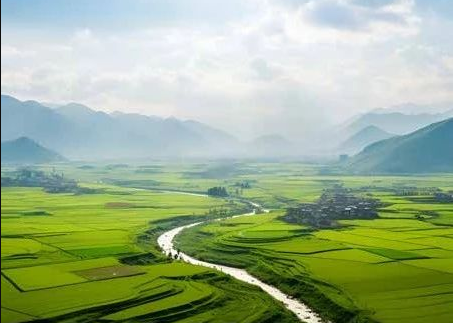 《農(nóng)村黑臭水體治理工作指南》來(lái)了！