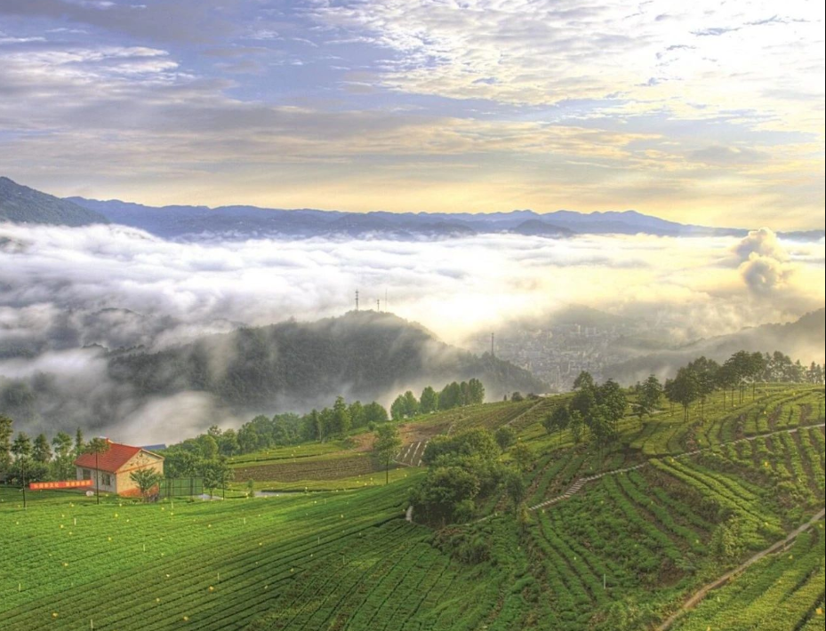 農村生活污水治理率達到46.58%，湖北省印發(fā)2024年全省生態(tài)環(huán)境工作要點