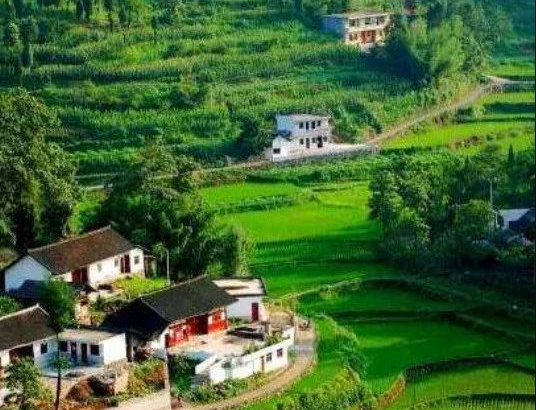 農(nóng)業(yè)農(nóng)村部辦公廳、財政部辦公廳關于做好2024年農(nóng)業(yè)產(chǎn)業(yè)融合發(fā)展項目申報通知