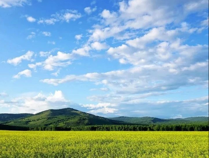 中國環(huán)保產(chǎn)業(yè)協(xié)會：2023年水污染治理行業(yè)評述及2024年發(fā)展展望