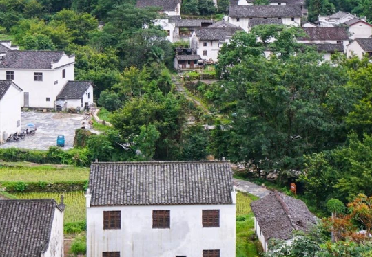 安徽六安市生態(tài)環(huán)境局發(fā)布《2024年六安市土壤、地下水污染防治和農(nóng)村生態(tài)環(huán)境保護(hù)工作要點(diǎn)》！